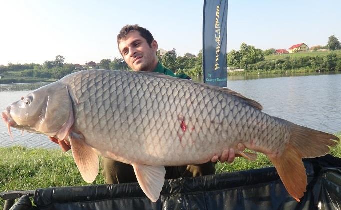 Dublu impact pe Moara Vlasiei 2